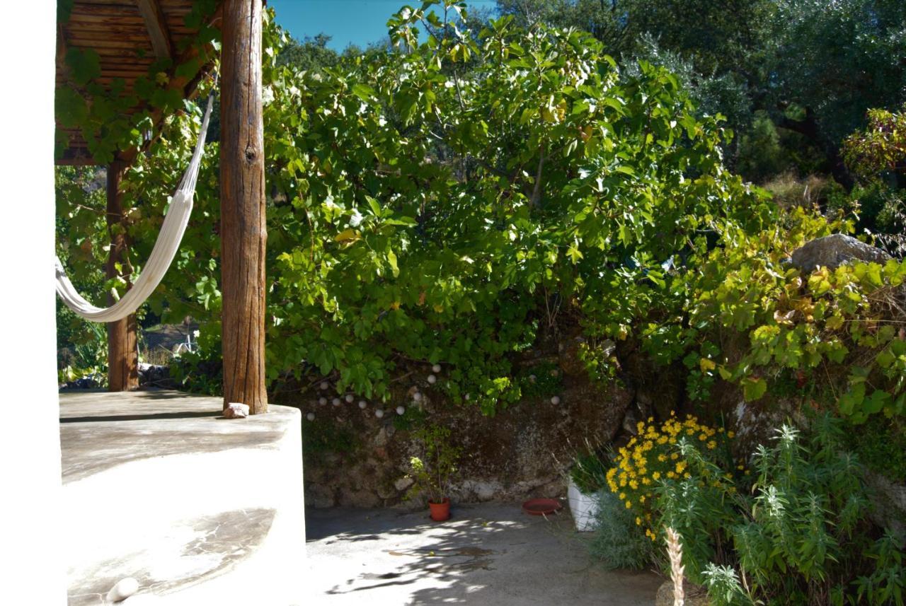Terrafazbem Villa Marvao  Luaran gambar