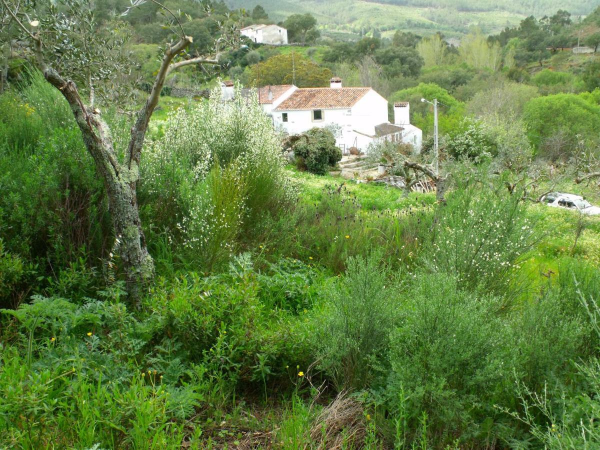 Terrafazbem Villa Marvao  Luaran gambar